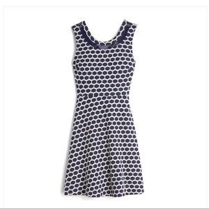 NWT Navy and white skater dress